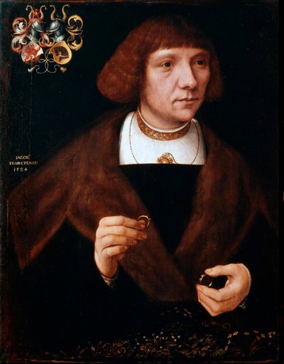 Mužský portrét s prsteny, 1524. od Jacob van Utrecht