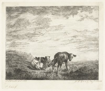 Tři telata od Jacobus Cornelis Gaal (signed by artist)