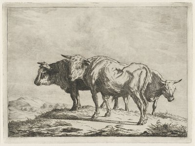 Tři voli od Jacobus Cornelis Gaal