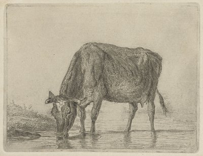 pitná kráva od Jacobus Cornelis Gaal