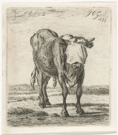 Býk se zavázanýma očima od Jacobus Cornelis Gaal