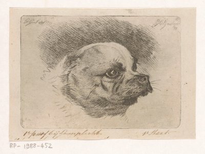 Hlava mopse od Jacobus Cornelis Gaal