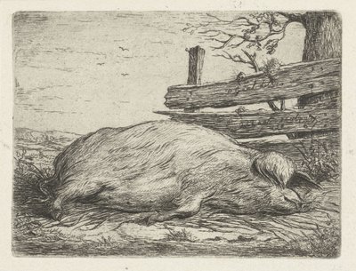 Ležící divočák od Jacobus Cornelis Gaal