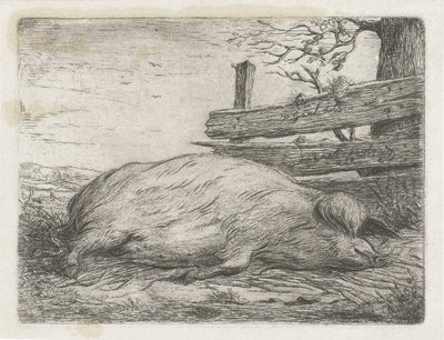 Ležící divočák od Jacobus Cornelis Gaal