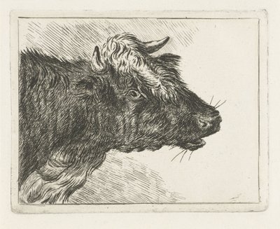Řvoucí vůl od Jacobus Cornelis Gaal