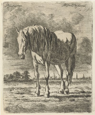 Stojící bílý kůň od Jacobus Cornelis Gaal