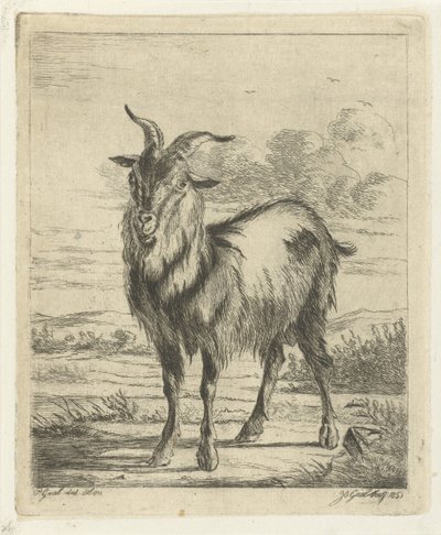 stojící koza od Jacobus Cornelis Gaal