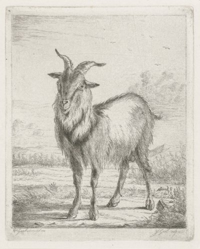 stojící koza od Jacobus Cornelis Gaal