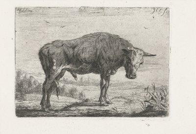 stojící býk od Jacobus Cornelis Gaal