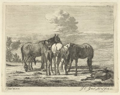 Čtyři koně a dvě hříbata od Jacobus Cornelis Gaal