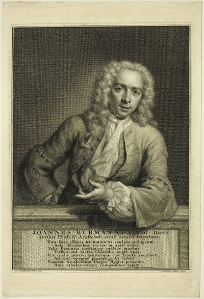 J. Burmannus od Jacobus Houbraken