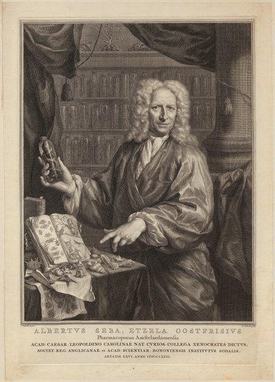  od Jacobus Houbraken