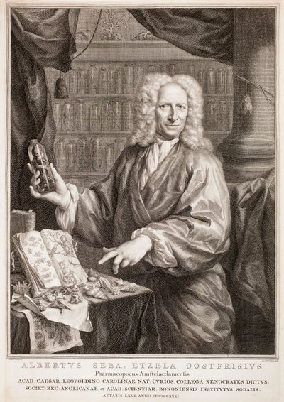  od Jacobus Houbraken
