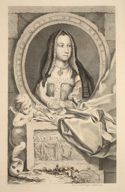 Portrét Alžběty, královny Jindřicha VII., ilustrace z 