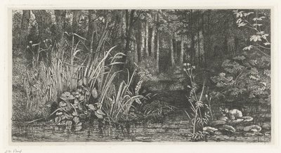 Bosbeekje od Jacobus Ludovicus Cornet