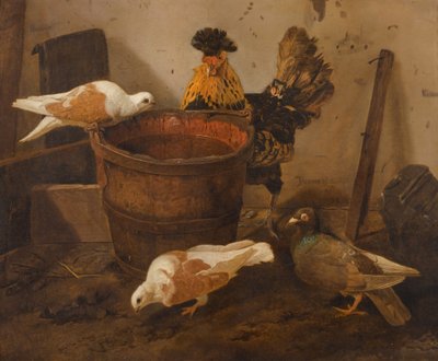 Tři holubi a kohout u vědra s vodou od Jacomo Victors