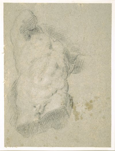 Kresba mužského trupu (uhlem na modrém papíře) od Jacopo Bassano