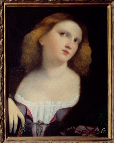 Portrét ženy Malba na dřevě transponovaná na plátno Jacopem Palmou il Vecchio (1480-1528) 1513 Rozm. 0,48 x 0,38 m Lyon, Musee des Beaux Arts od Jacopo (c.1480 1528) Palma