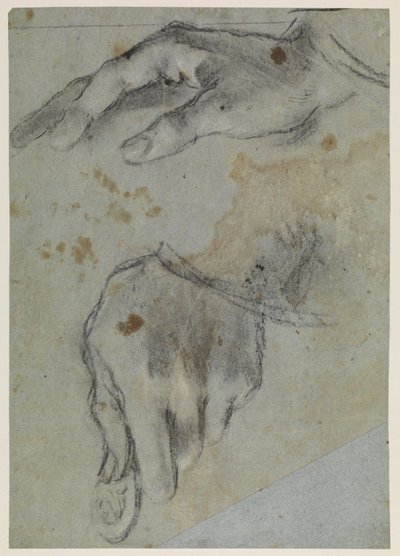 Studie rukou, recto, 16. stol od Jacopo Bassano