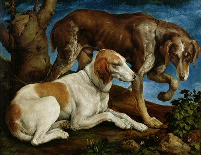 Dva lovečtí psi přivázaní k pařezu, c.1548-50 od Jacopo Bassano