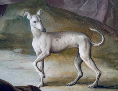 Pes, detail z fresky Jacopo Guarana (1720-1808), centrální sál Villa Contarini, Valnogaredo, Veneto, Itálie od Jacopo Guarana