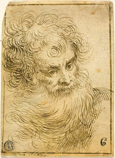 hlava vousatého starce (recto); Dekorativní náčrt květin a listů (verze) od Jacopo Palma il Giovane