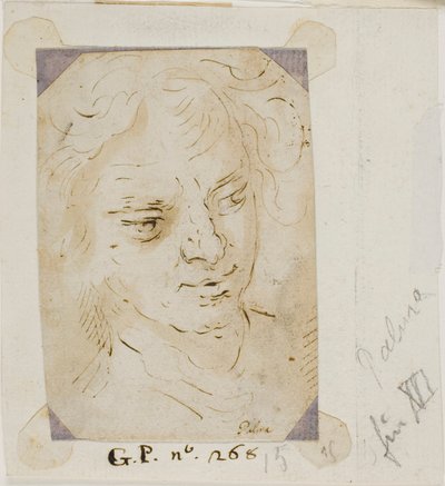 Hlava muže od Jacopo Palma il Giovane