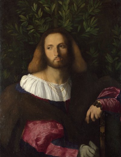 Portrét básníka Ludovico Ariosto, c. 1516 od Jacopo Palma il Vecchio the Elder