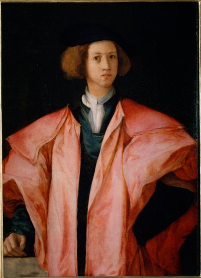 Portrét mladého muže pravděpodobně Alessandra de Medicis - olej na panelu od Jacopo Pontormo