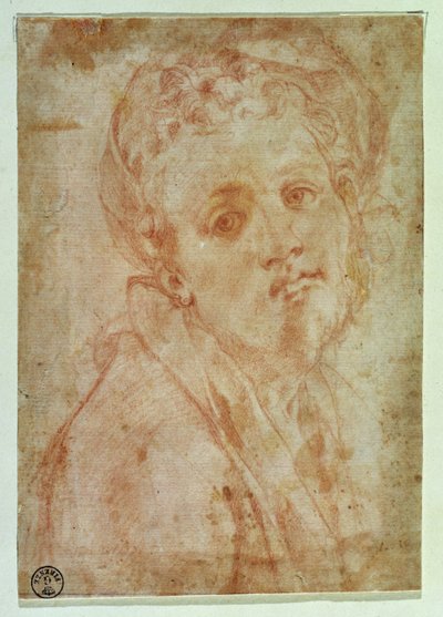 Autoportrét (červená křída na papíře) od Jacopo Pontormo
