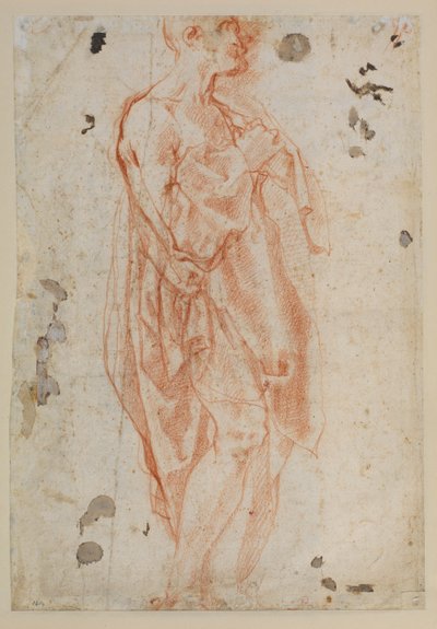 Studium pro svatého Jeronýma od Jacopo Pontormo