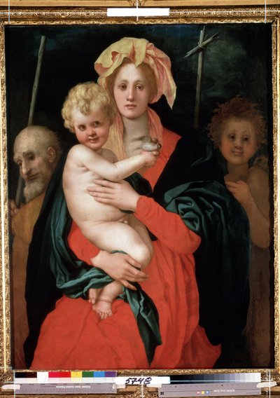 Panna a dítě se svatým Josefem a svatým Janem Křtitelem (Madona a dítě se svatým Josefem a Janem Křtitelem). Kristus drží v ruce ptáka. Obraz od Jacopa (Iacopo) Carrucci dit il Pontormo (Pontorme) (1494-1557), cca 1520. Umělecká flóra od Jacopo Pontormo