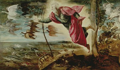 Tvorba zvířat od Jacopo Robusti Tintoretto