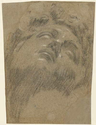 Giuliano dei Medici podle Michelangela, cca 1550 (křída na papíře) od Jacopo Robusti Tintoretto