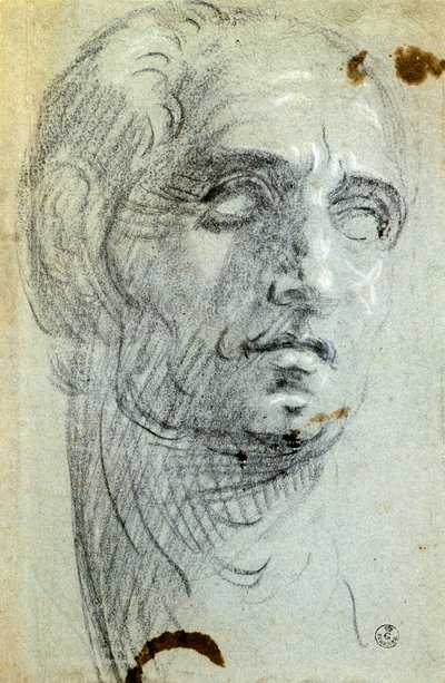 Mužská hlava od Jacopa Robustiho známého jako Tintoretto (1518-1594), kresba od Jacopo Robusti Tintoretto