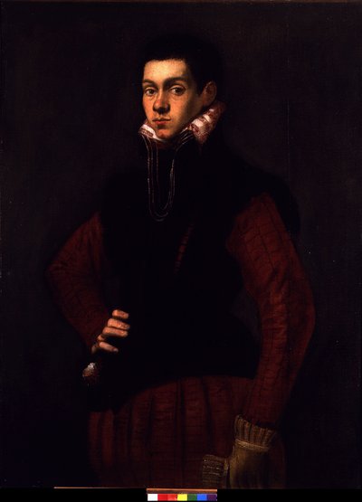 Portrét mladého muže, cca 1565 (olej na plátně) od Jacopo Robusti Tintoretto