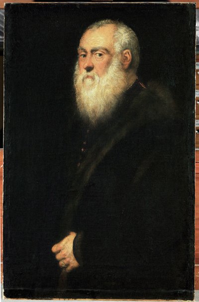 Portrét staršího muže s bílými vousy (olej na plátně) od Jacopo Robusti Tintoretto