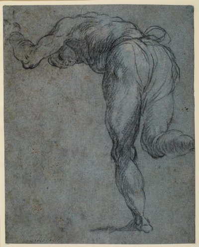 Studie mužské postavy naklánějící se dopředu, 1575-c.1585 od Jacopo Robusti Tintoretto