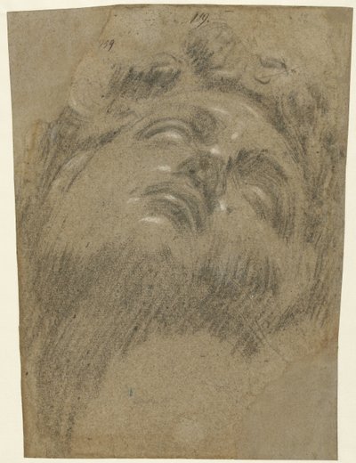 Hoofd van Giuliano dei Medici od Jacopo Tintoretto