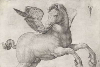 Pegas, 1509-16 od Jacopo de Barbari