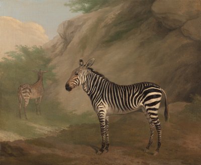 Zebra od Jacques-Laurent Agasse