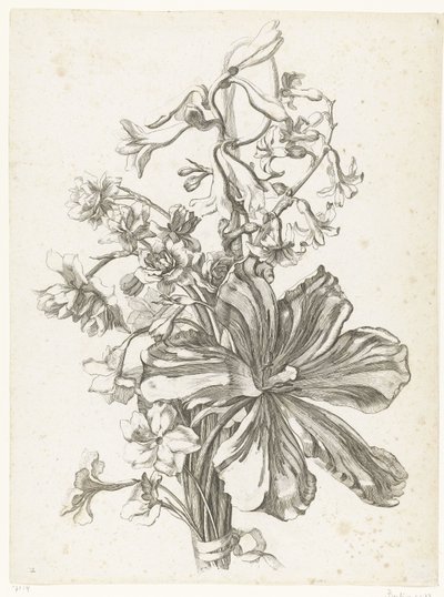Kytice s tulipánem, hyacintem, brodiaea a narcisy Diverse Fleurs mises en Boucquets (název série) od Jacques Bailly (I)