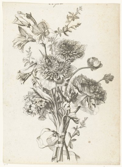 Kytice sasanek Kytice se sasankami, pivoňkou, stonkovými květy a mečíkem Diverse Fleurs mises en Boucquets (název série) od Jacques Bailly (I)