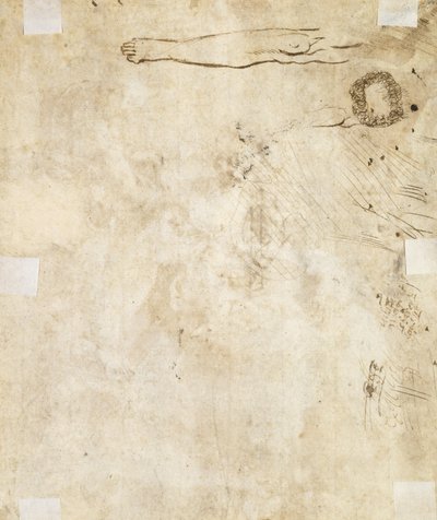 Studie o noze, rozkvětu a čmáranicích, 1610-17 od Jacques Bellange