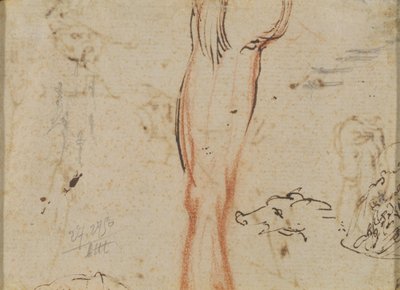 Noha a prasečí hlava od Jacques Callot