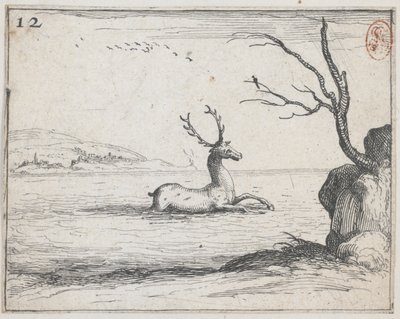 Jelen ve vodě - ne. 12 ze série od Jacques Callot