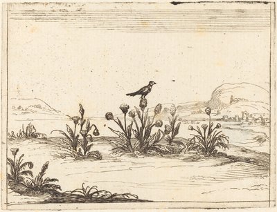 Pták posazený v bodláku od Jacques Callot