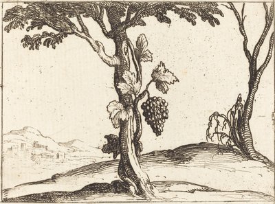 Hrozny od Jacques Callot