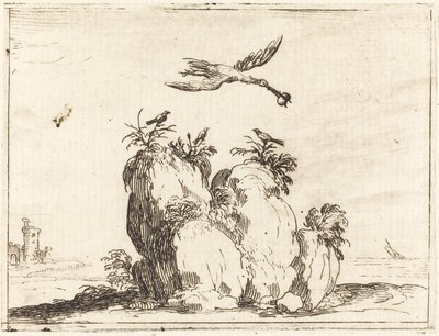 Jeřáb létání od Jacques Callot