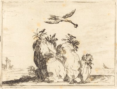 Jeřáb létání od Jacques Callot